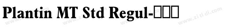 Plantin MT Std Regul字体转换